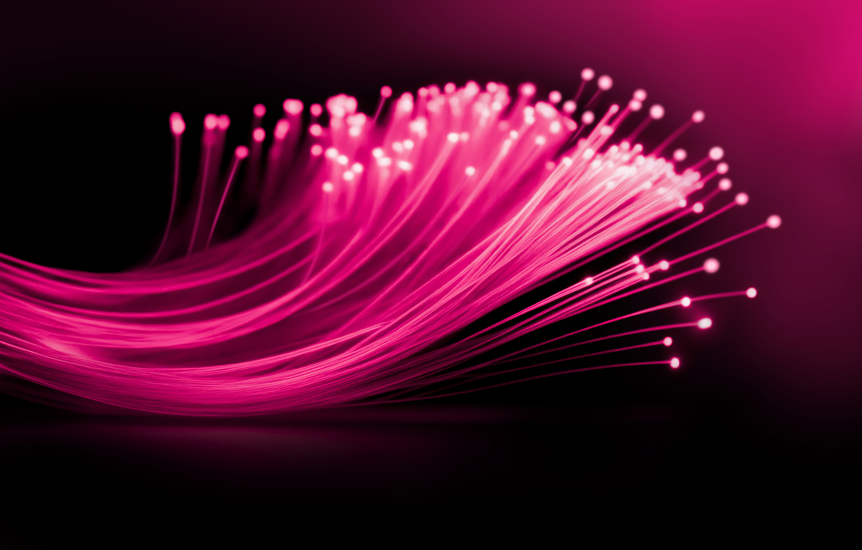 Providing more than capital